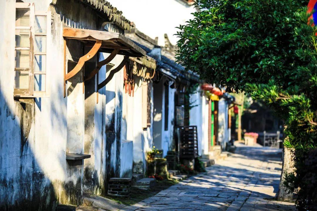 博物馆小偷